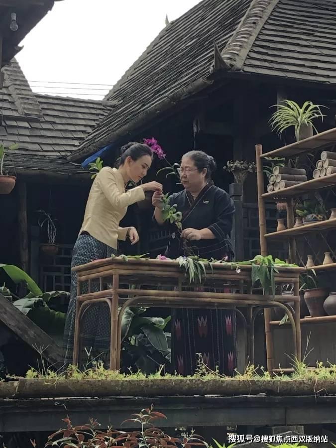 参加学校乒乓球比赛的所有队员个大主每个大竹在分成四个小组每个小组有9人参？游戏画面