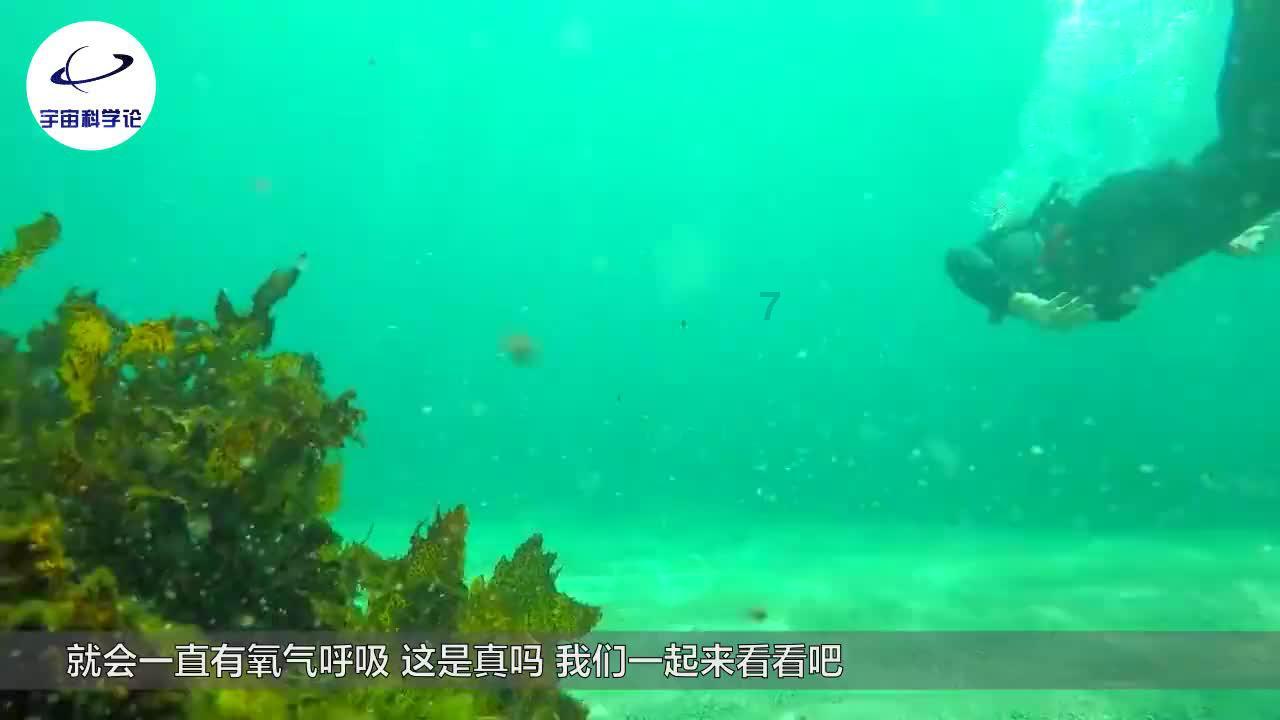 河南方城1.19火灾13人去世：咋平衡资源，咋夯实民办学校安全？